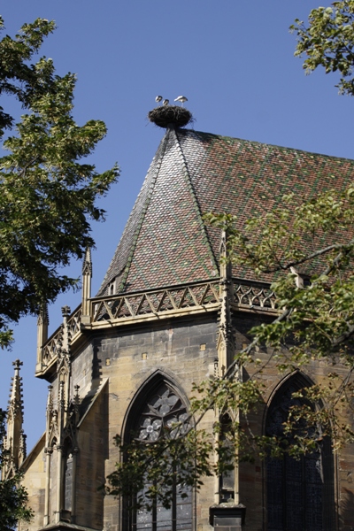 Colmar: Cattedrale - Colmar:Cathedral